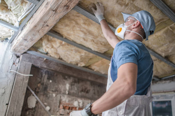 Best Insulation Maintenance and Repair in Elmhurst, IL