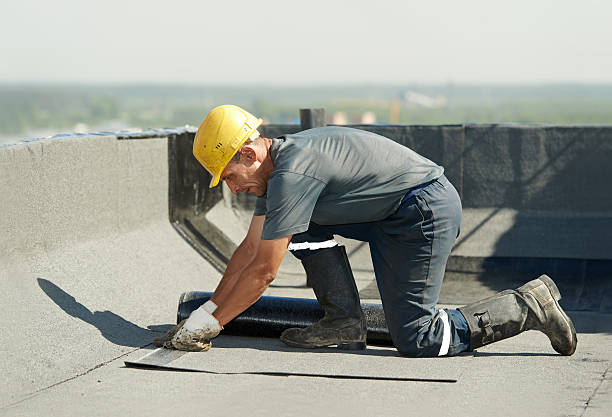 Best Geographic-Specific Insulation Services in Elmhurst, IL